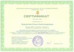 Сертификат участника Марафона - 2012